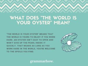 The World Is Your Oyster - Meaning & Origin (11 Examples)