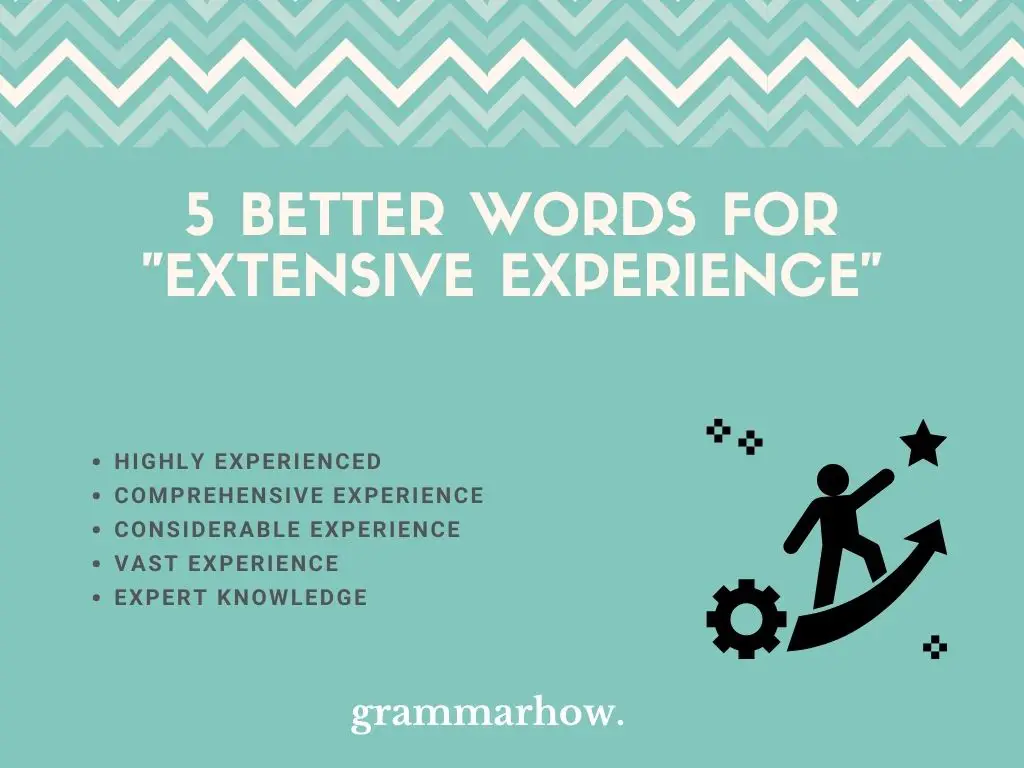 What Is Another Way To Say "Extensive Experience"?
