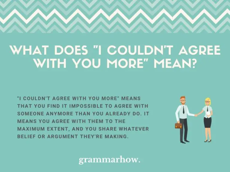 quot I Couldn #39 t Agree With You More quot : Meaning Grammar (12 Examples)