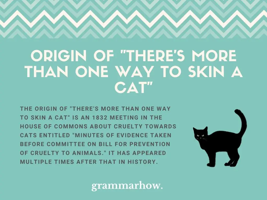 What Is The Origin Of "There's More Than One Way To Skin A Cat"?