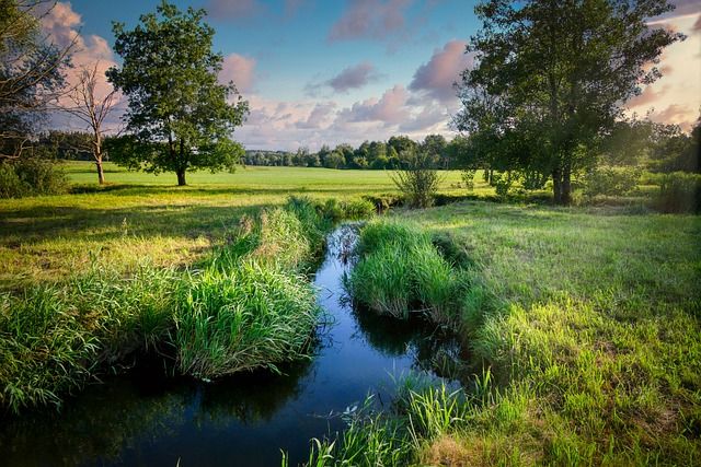 Comparing Brook, Creek, Stream, and River: A Visual Guide