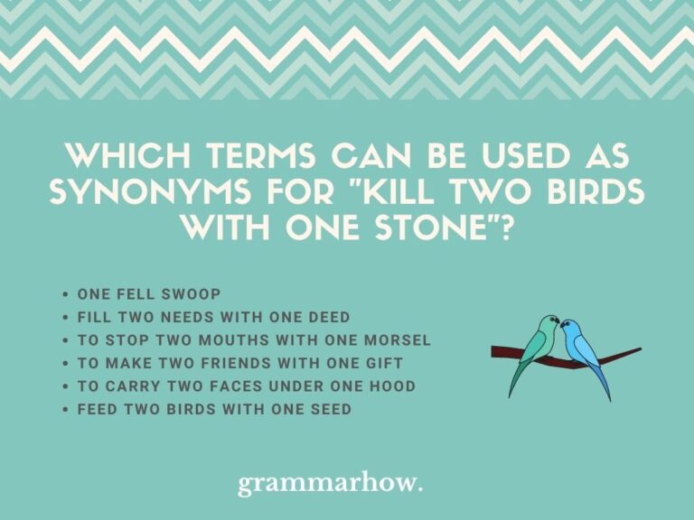 6 Good Synonyms For “Kill Two Birds With One Stone”