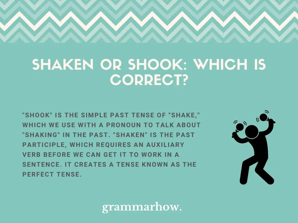 Shaken or Shook: Which Is Correct?