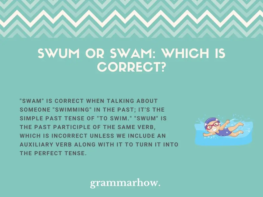 Swum or Swam: Which Is Correct?