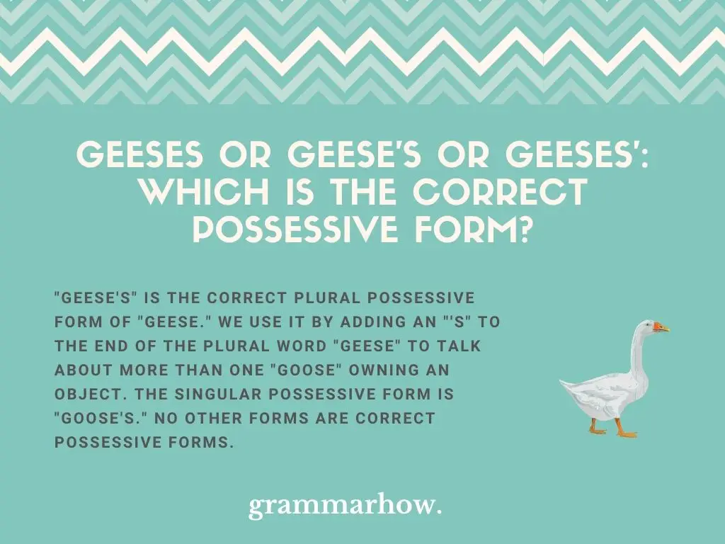 Geeses or Geese's or Geeses': Which Is The Correct Possessive Form?