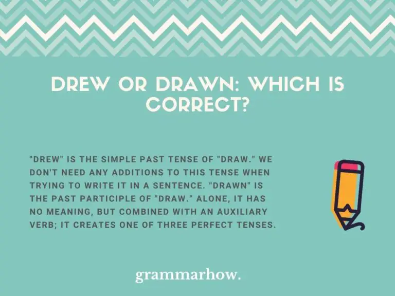 Drew or Drawn Which Is Correct? (Helpful Examples)