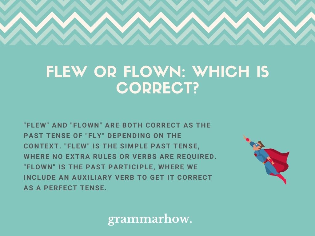 flew-or-flown-difference-explained-helpful-examples