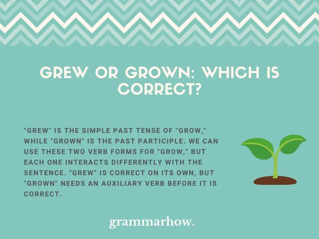 Grew or Grown: Which Is Correct?