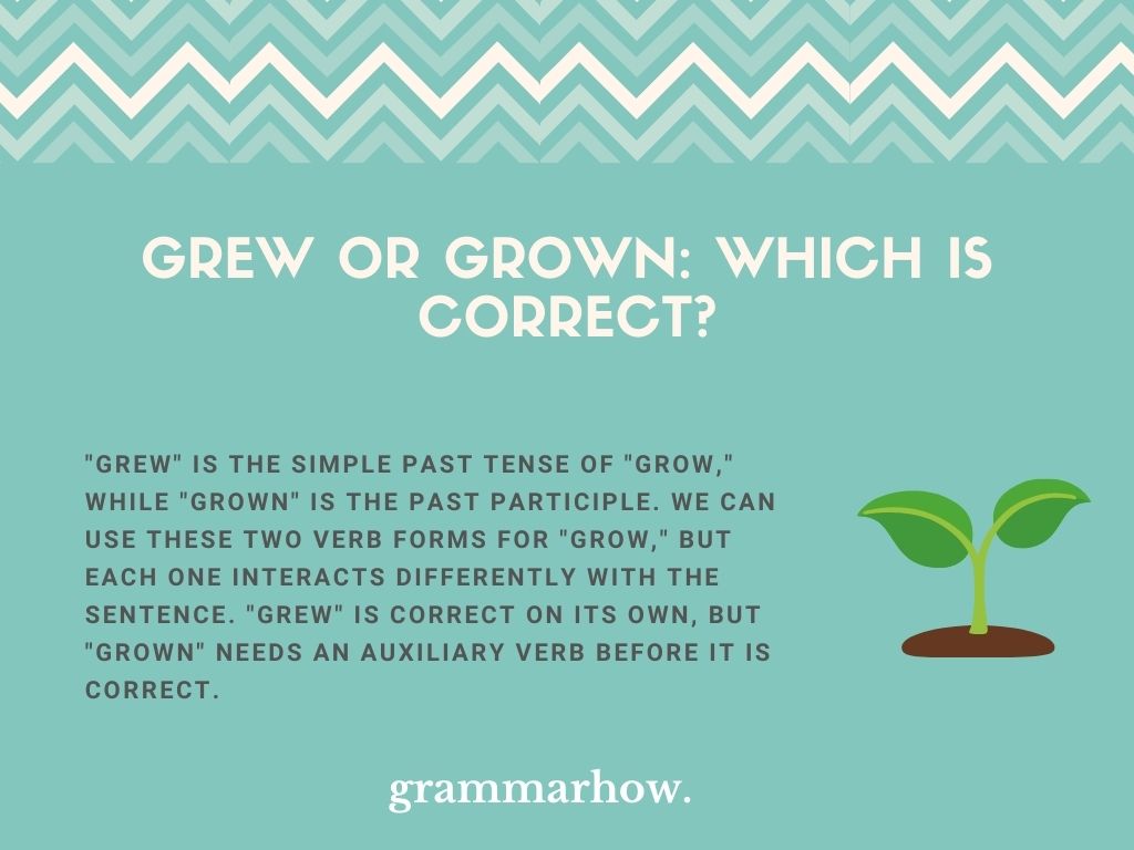 Grew or Grown: Which Is Correct?