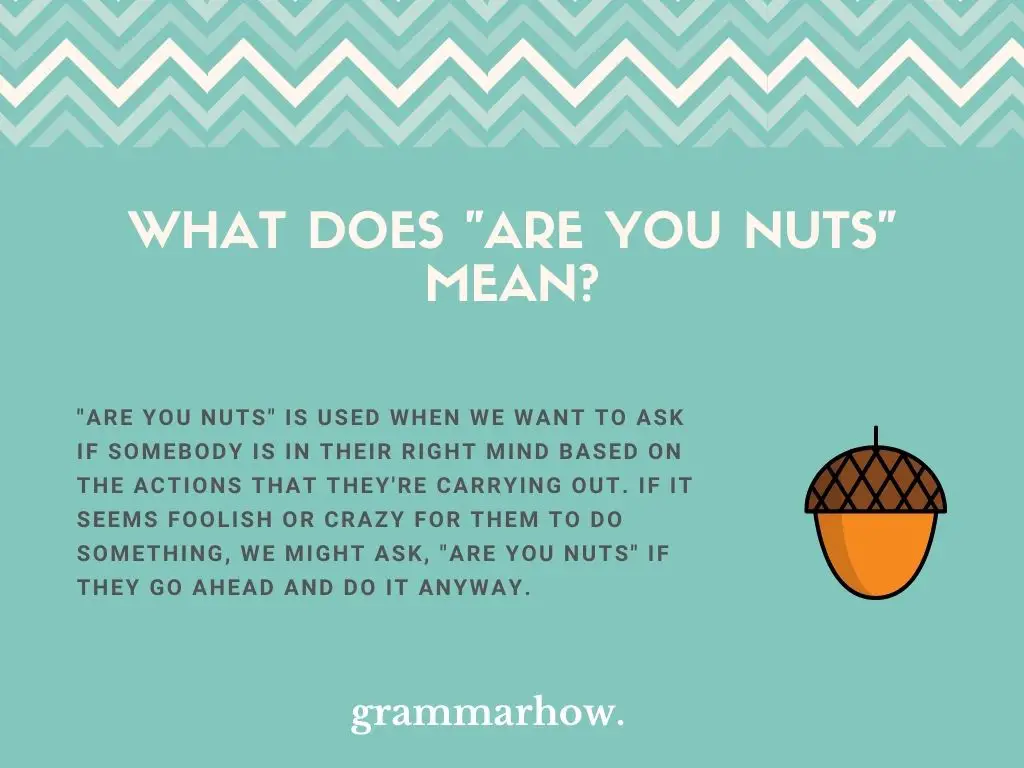What Does "Are You Nuts" Mean?