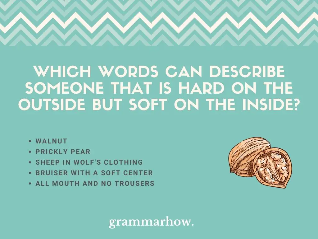 Which Words Can Describe Someone That Is Hard On The Outside But Soft On The Inside?