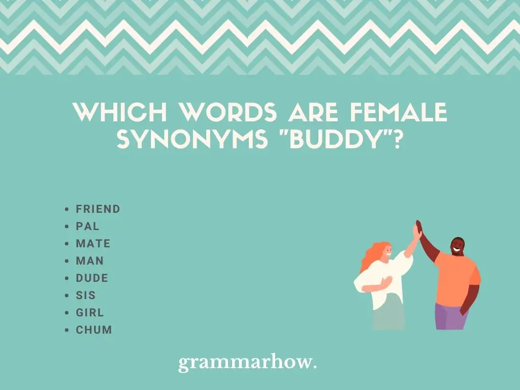 female synonyms for buddy