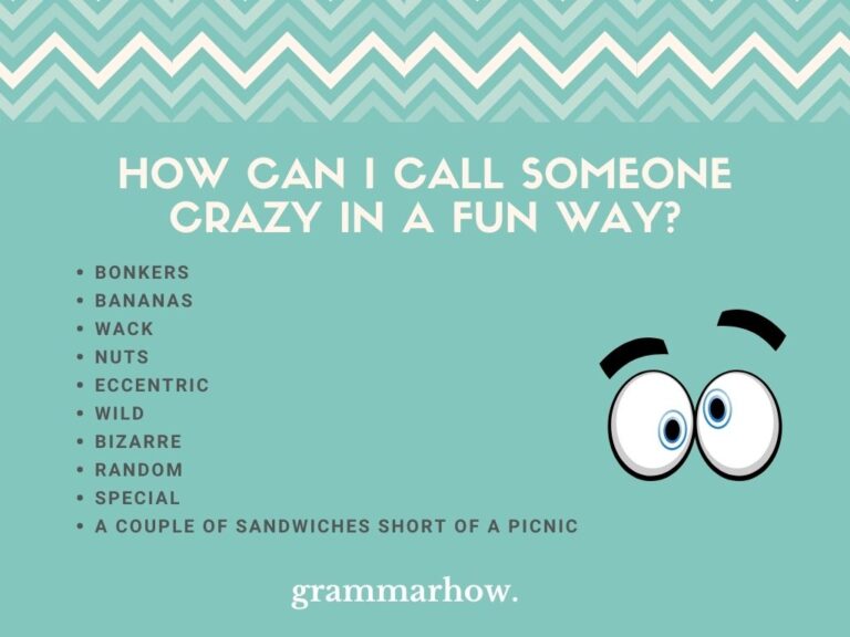 Ways To Call Someone Crazy