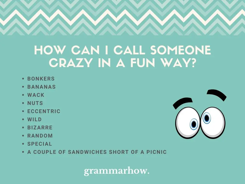 fun ways to call someone crazy