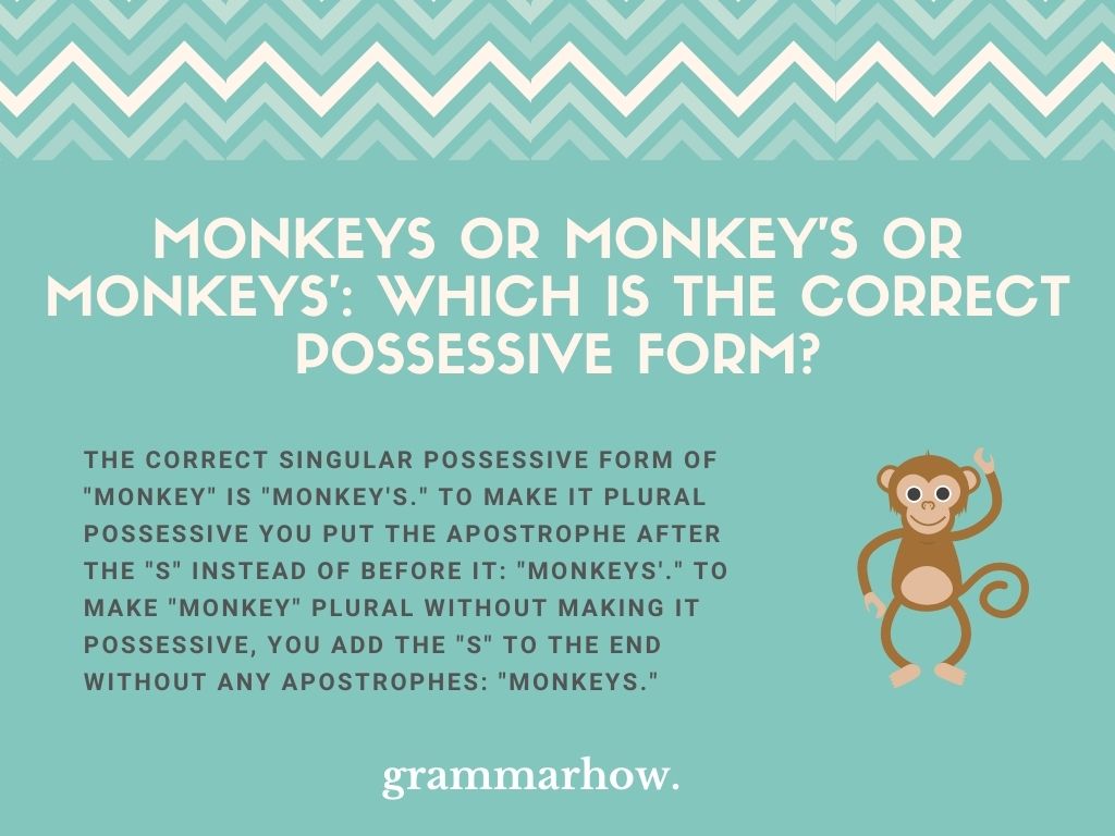 Monkeys or Monkey's or Monkeys': Which Is The Correct Possessive Form?