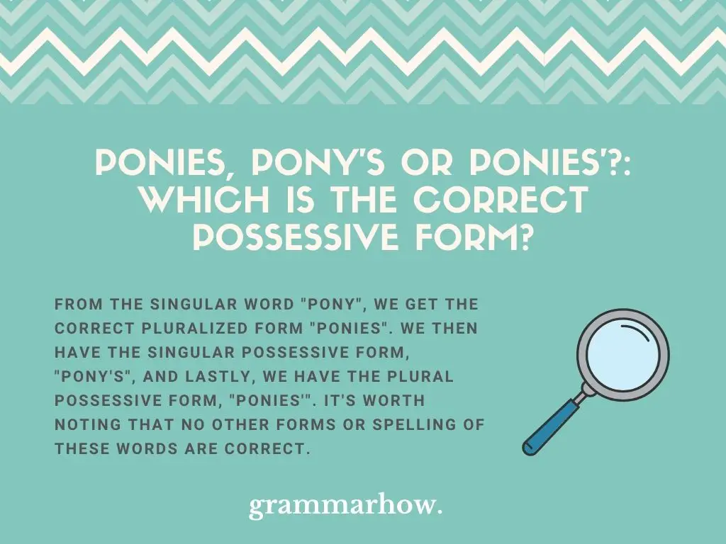 Ponies, Pony's or Ponies': Which is the Correct Possessive Form?
