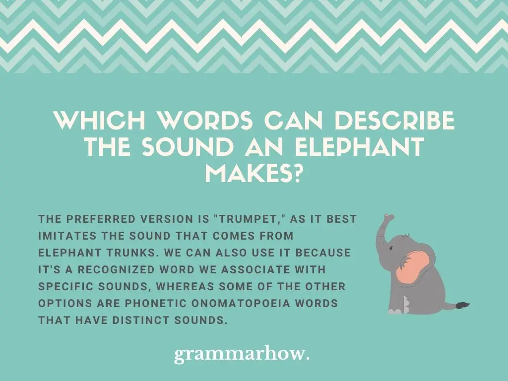 elephant sound words