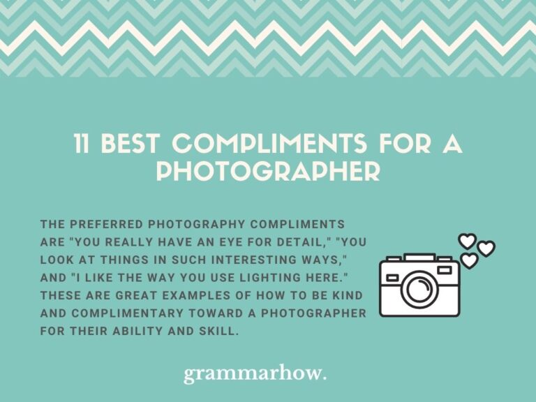 11 Best Compliments For A Photographer (Praising Words)