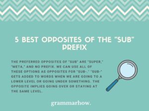 5 Best Opposites Of The “Sub” Prefix