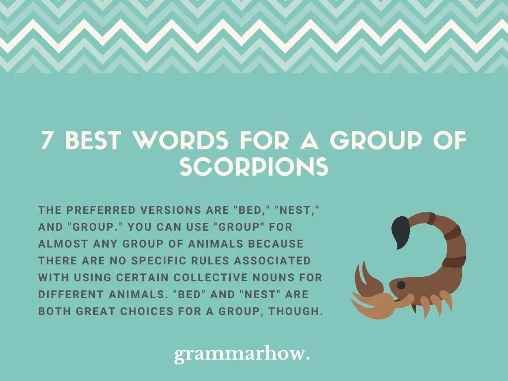 Best Words For A Group Of Scorpions