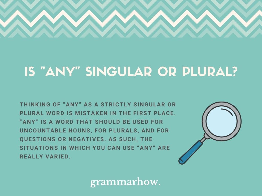 Is Any Singular Or Plural Correct Grammar Examples 