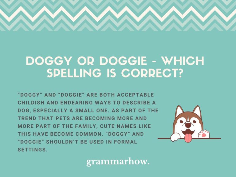 Doggy or doggie which spelling is correct examples 