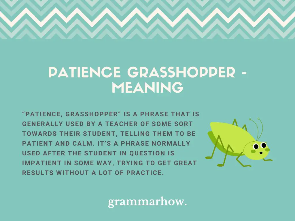 patience grasshopper meaning