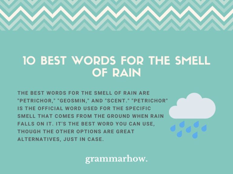 Words To Describe The Smell Of Rain