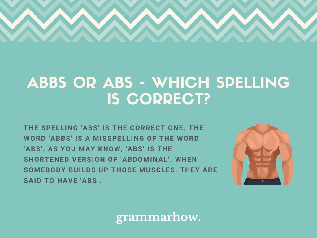 Abbs or Abs Which Spelling Is Correct? TrendRadars