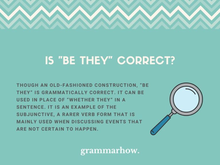 is-be-they-correct-meaning-example-sentences