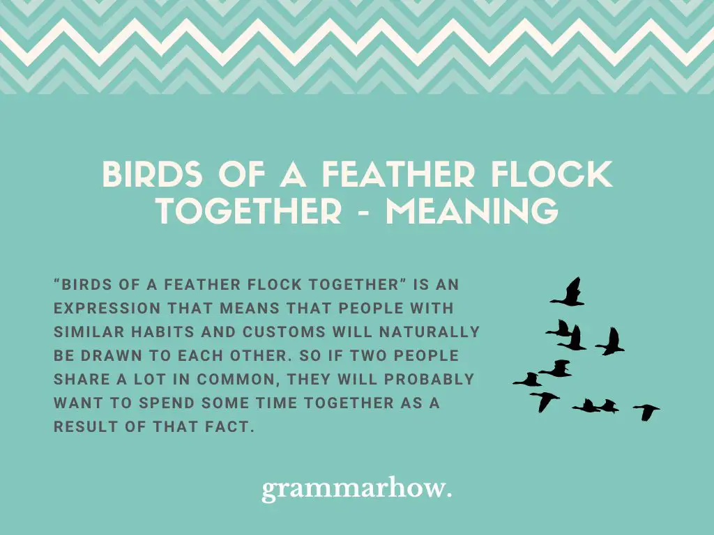 Birds Of A Feather Flock Together Meaning & Examples TrendRadars