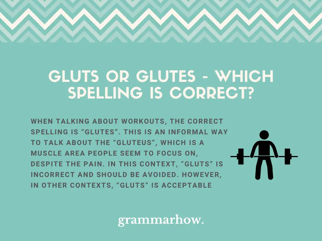 gluts or glutes