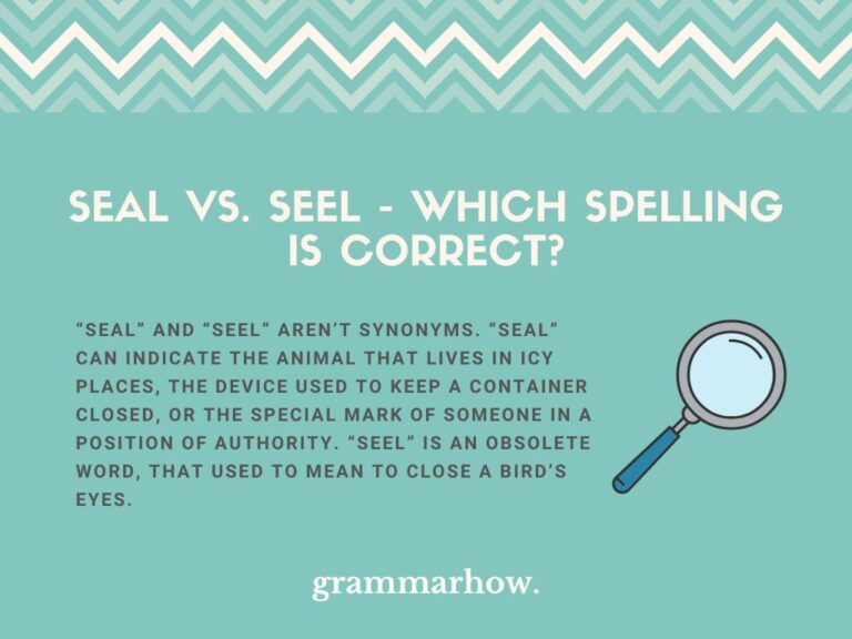 Seal vs. Seel Which Spelling Is Correct?