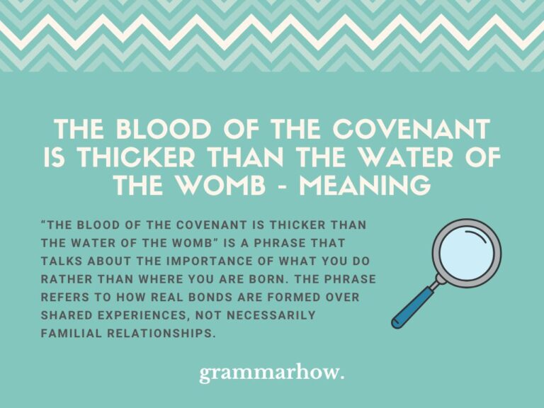 blood of the covenant is thicker than water of the womb meaning