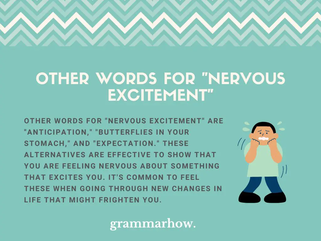Other Words for Nervous Excitement