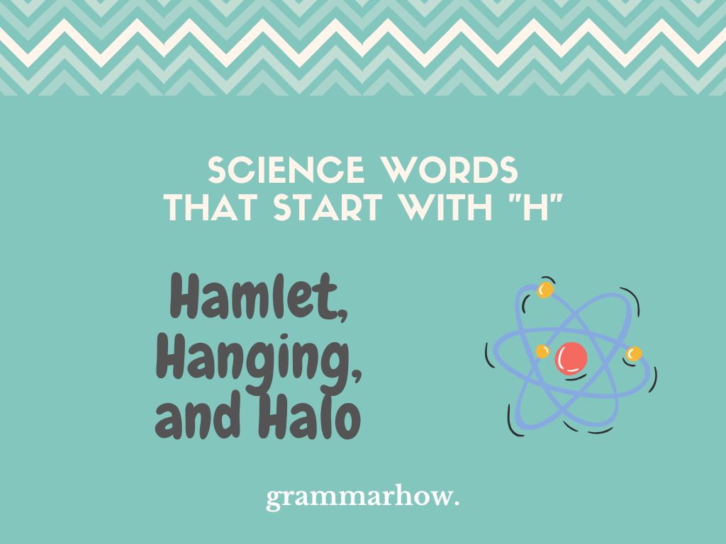 Science Words That Start With "H" (List + Most Common) TrendRadars