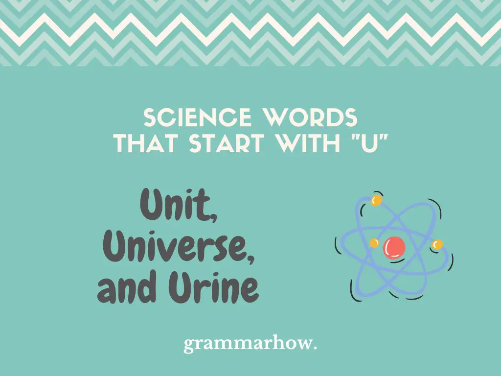 Science Words That Start With U