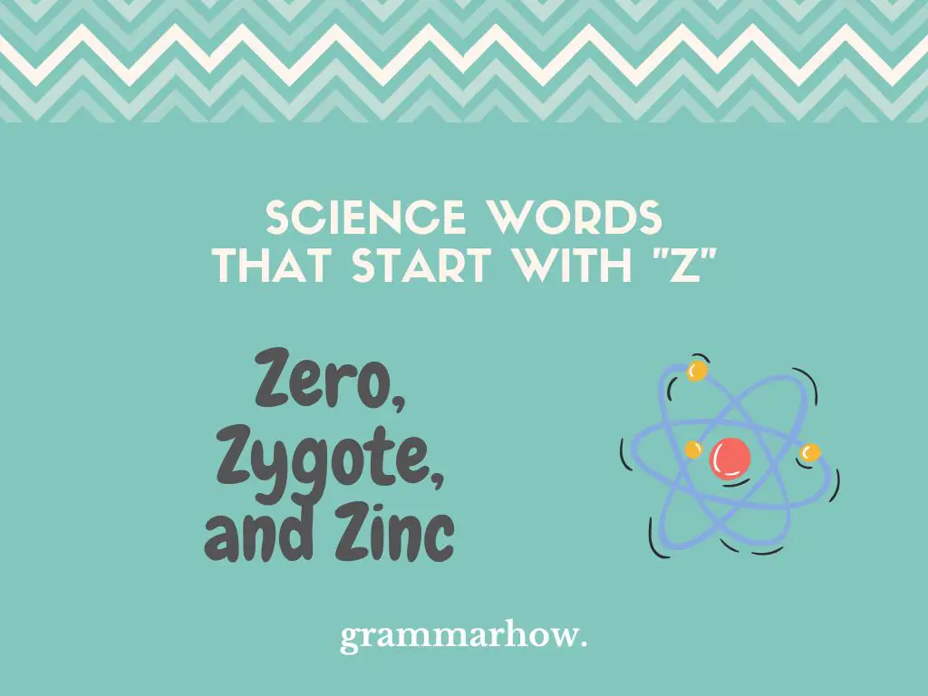 Science Words That Start With Z