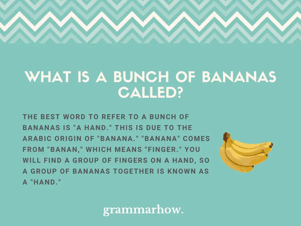 What Is a Bunch of Bananas Called? - Grammarhow.com